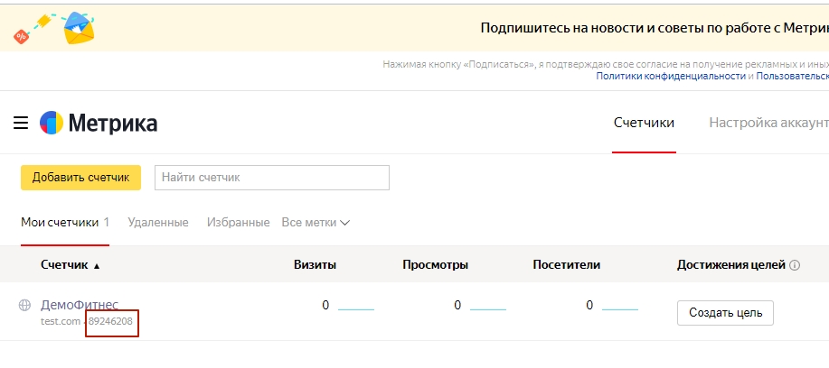 ЯндексМетрика_счетчикМетрики.jpg
